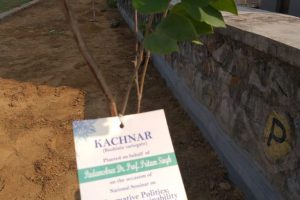 Planted on Behalf of Dr. Pritam Singh