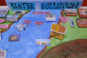 Model Presentation on the occasion of World Environment Day