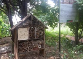 Visit to Asola Bhatti Wildlife Sanctuary of BSc students, MRU (2)